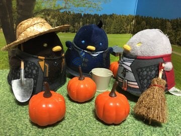 ちゅんとかぼちゃ畑