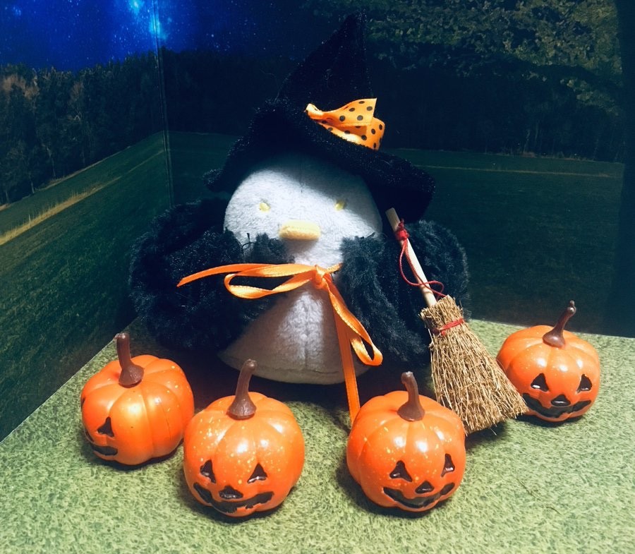 ちゅんハロウィン