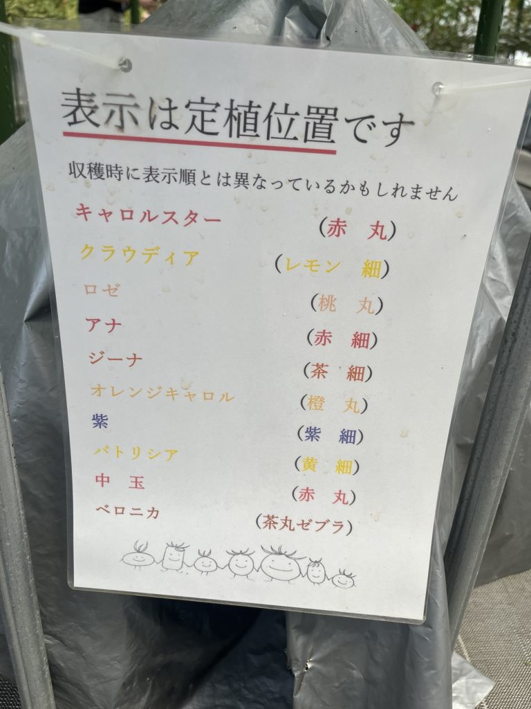 トマト狩り　品種紹介