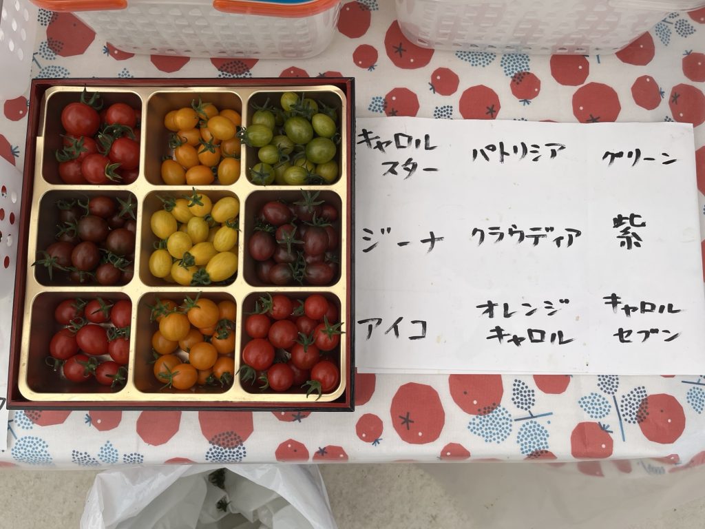 トマト狩り　品種紹介