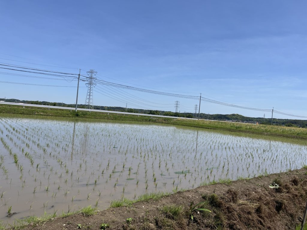 馬来田～外の景色