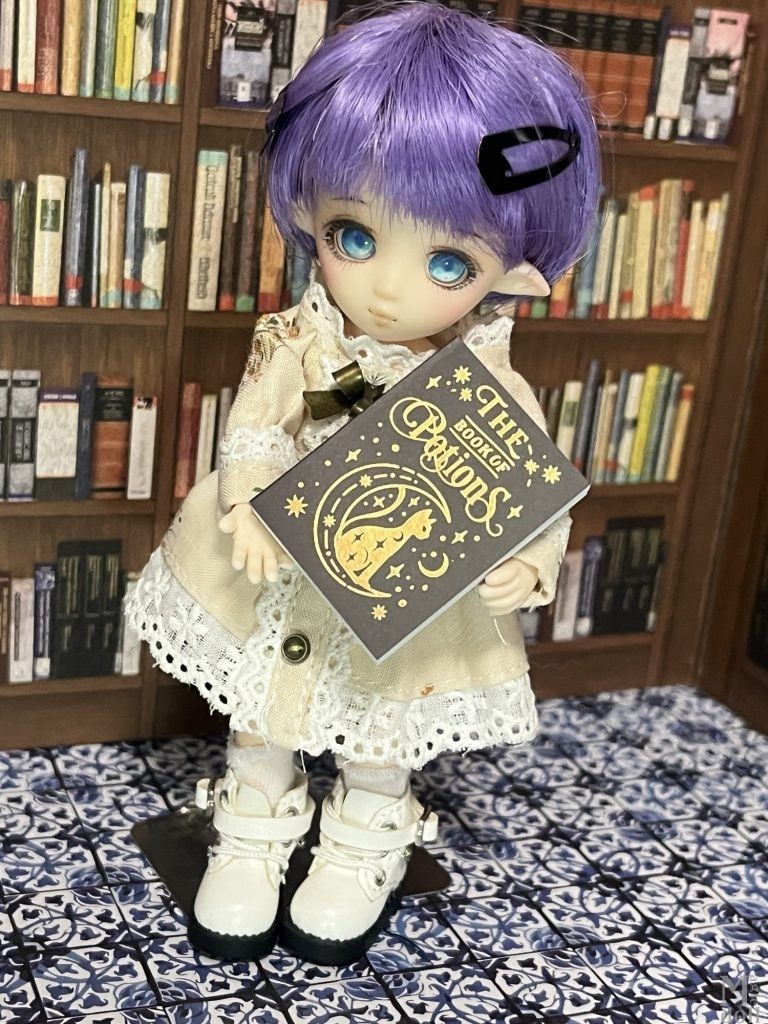 オビツ11　セリア豆本